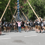 maibaum aufstellen baschding