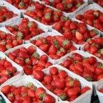 erdbeeren am markt