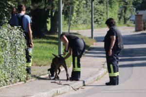 FFW Pastetten Hundestaffel