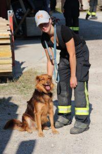 Hundestaffel Training Pastetten