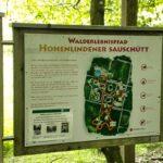 Walderlebnisspfad Hohenlinden Sauschuett