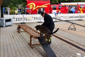 Rettungs Hunde Staffel